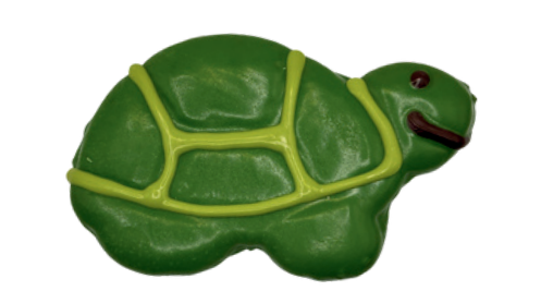 Turtle – Out of Stock