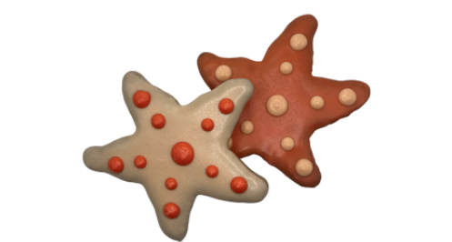Sea Star – Out of Stock