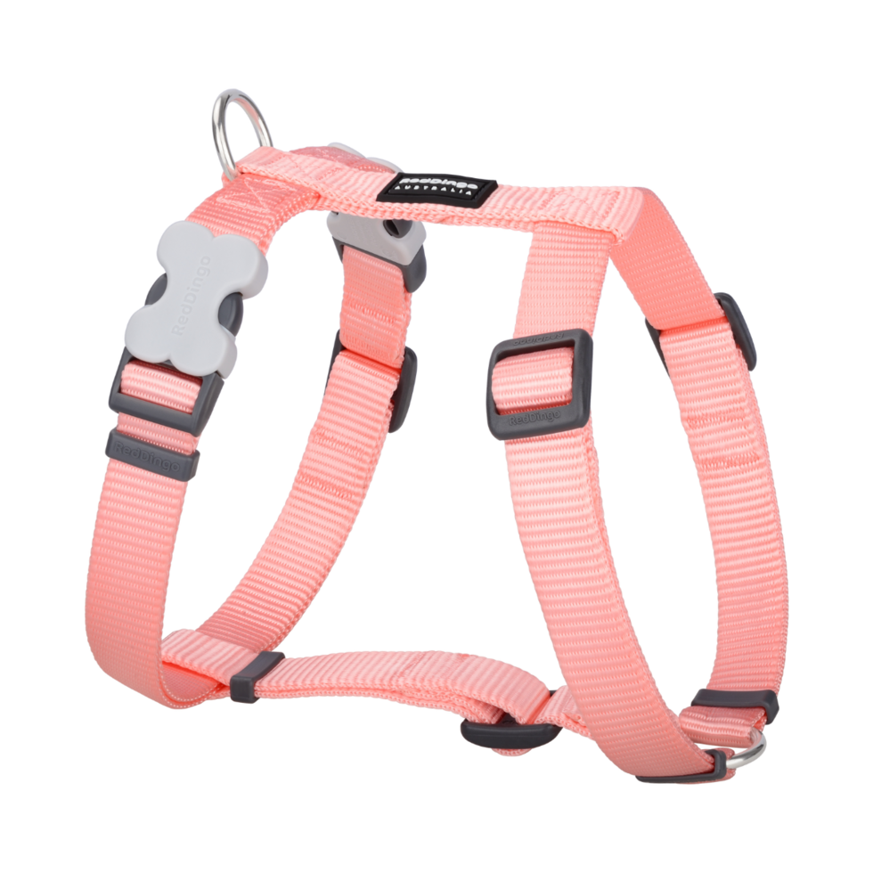 Pastel Orange