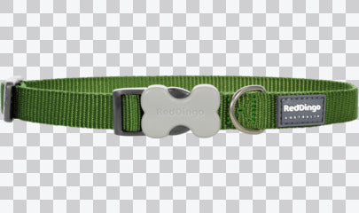 Buckle Bone Dog Collars - Classic (Solid)