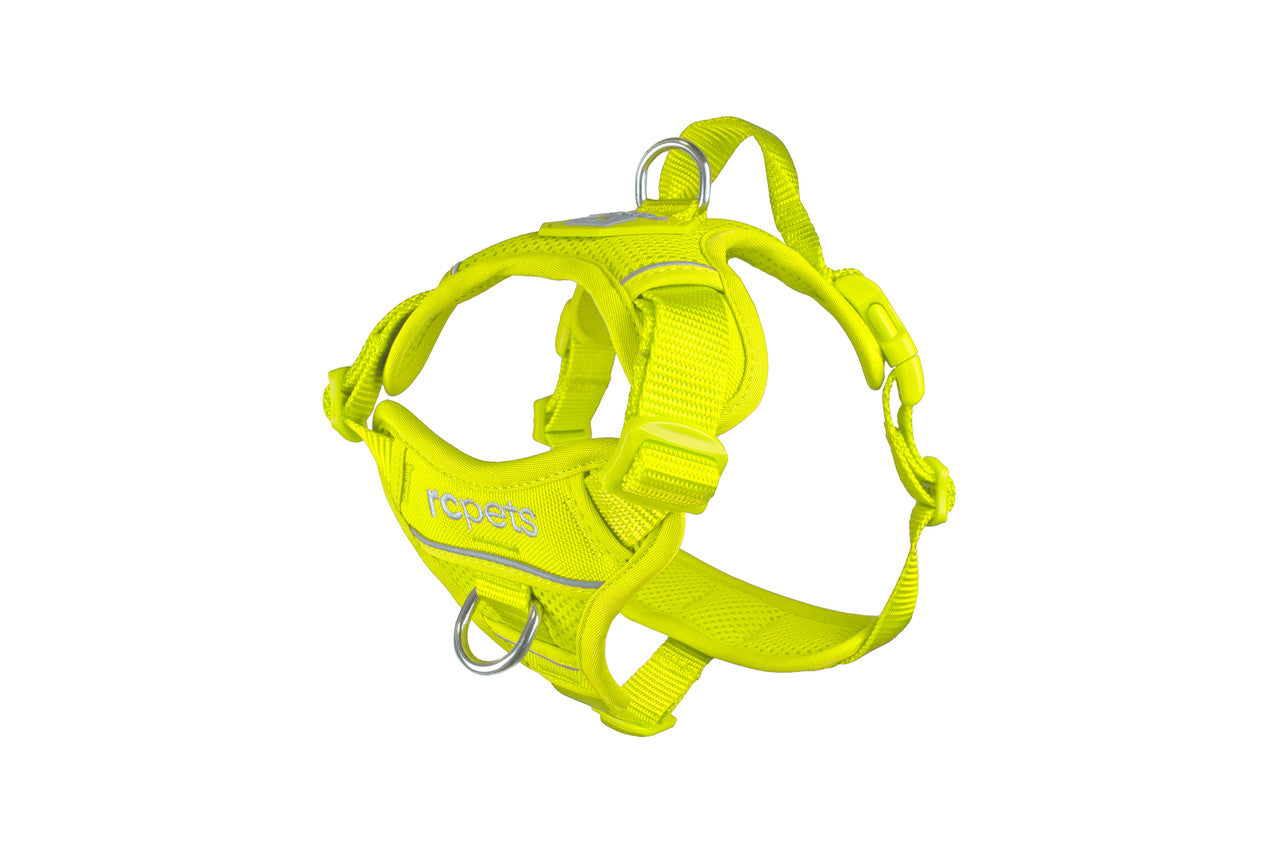 Momentum Harness