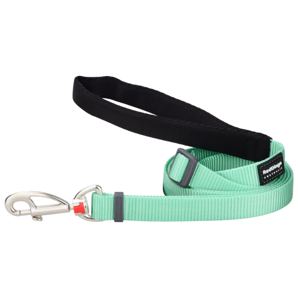 Pastel Green