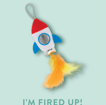 I'M FIRED UP LAUNCHER CAT TOY Case of 4