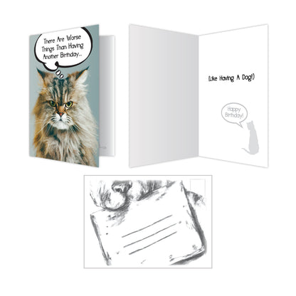 Cat Birthday Cards (Pack of 6)