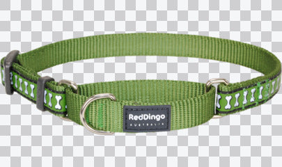 Martingale Dog Collars - Reflective