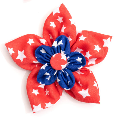 Stars Flower