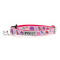 Fashionista Cat Collar