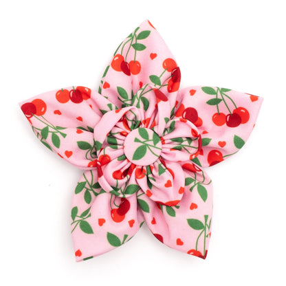 Cherries Jubilee Flower