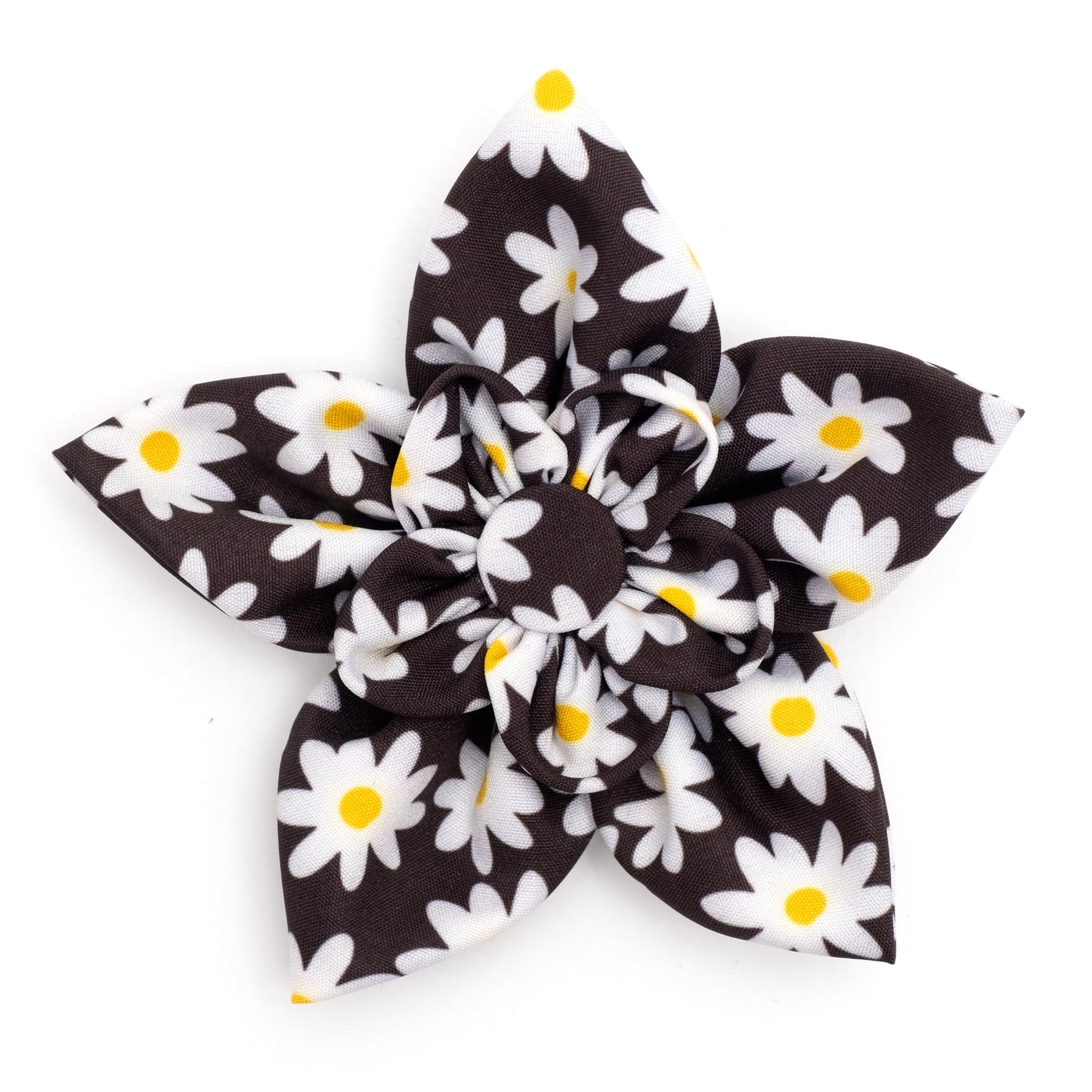 Lazy Daisy Flower