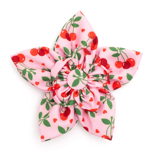 Cherries Jubilee Flower