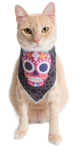 Glow-in-the-Dark Skull Bandana- Packs of 12