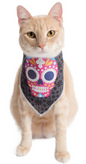 Glow-in-the-Dark Skull Bandana- Packs of 12