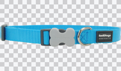 Buckle Bone Dog Collars - Classic (Solid)