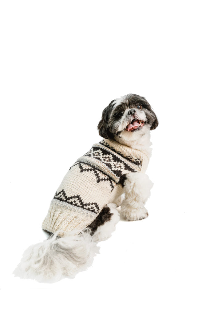 Shih Tzu dog wearing a cream and brown patterned knitted sweater