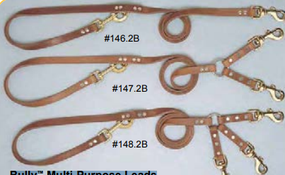 Bully™ Multi-Purpose Leads