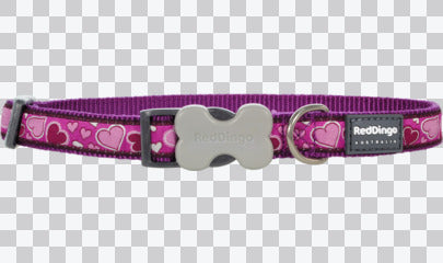Buckle Bone Dog Collars - Design - Breezy Love