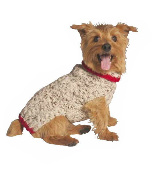 Norwich Terrier wearing a beige and red knitted dog jumper