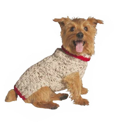 Norwich Terrier wearing a beige and red knitted dog jumper