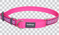 Martingale Dog Collars - Reflective
