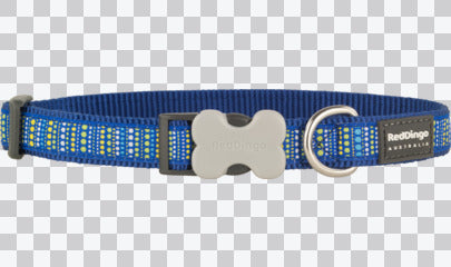 Buckle Bone Dog Collars - Design - LotzaDotz