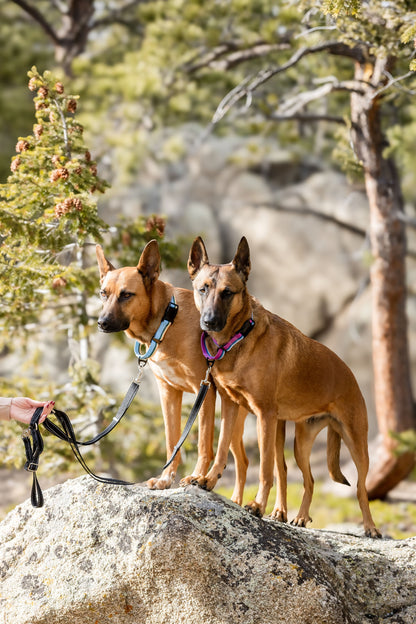Outdoor Style Nylon Martingale Collar