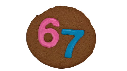 67 – Out of Stock