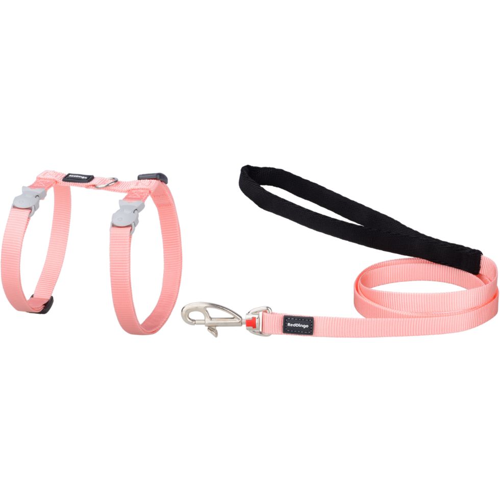 Pastel Orange
