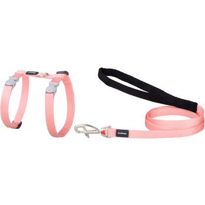 Pastel Orange
