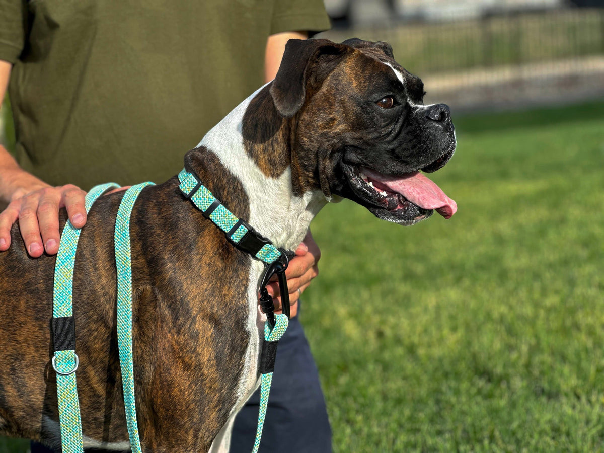 Adventure Style Climbing Rope Leash