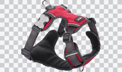 Padded Dog Harnesses