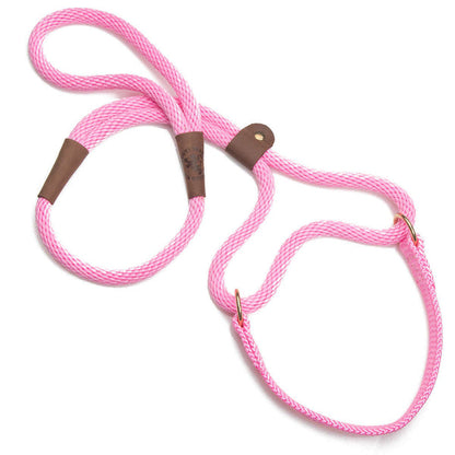 Dog Walkers - Mendota Colors