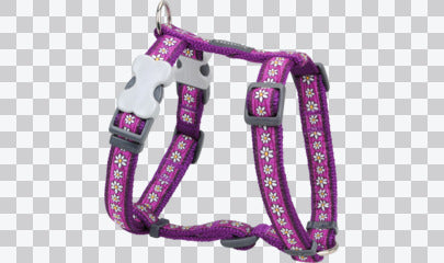 Dog Harness (H-Style) - Design