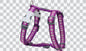 Dog Harness (H-Style) - Design