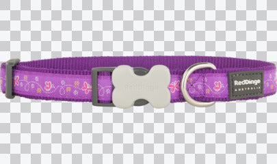 Buckle Bone Dog Collars - Design - Butterfly
