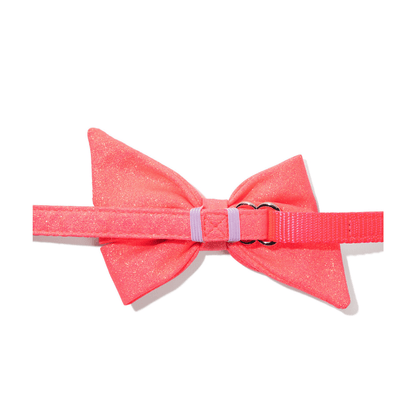 Ambrose Dog Babe Bow
