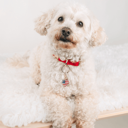 American Heart Pet Charm
