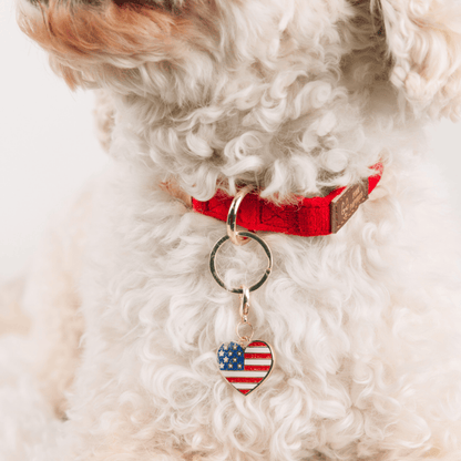 American Heart Pet Charm