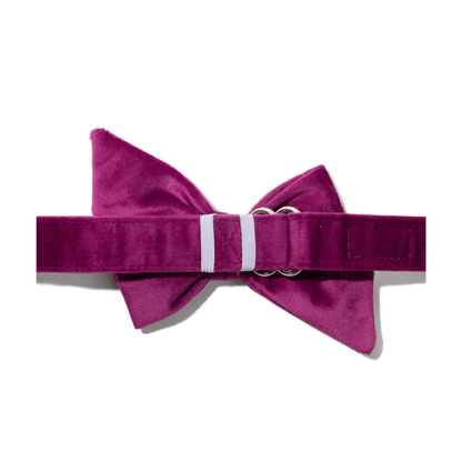 August Dog Babe Bow