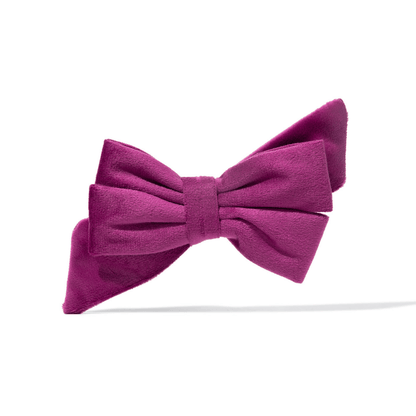 August Dog Babe Bow