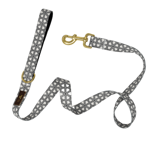 Avery Dog Leash