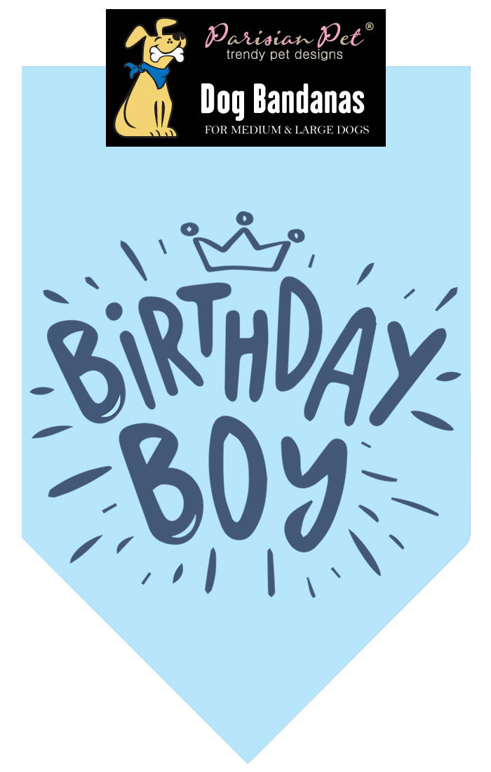 Birthday Boy Bandana - Original