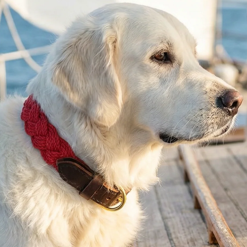 Seaside Collar