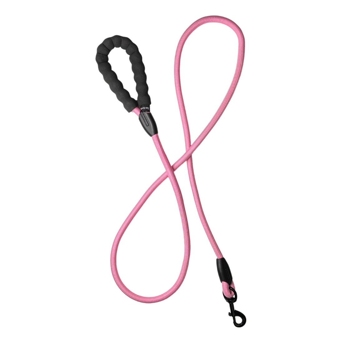 4' Rope Leash