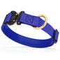 Viper BioThane Dog Collar with Cobra Metal Buckle – Odor Resistant and Waterproof