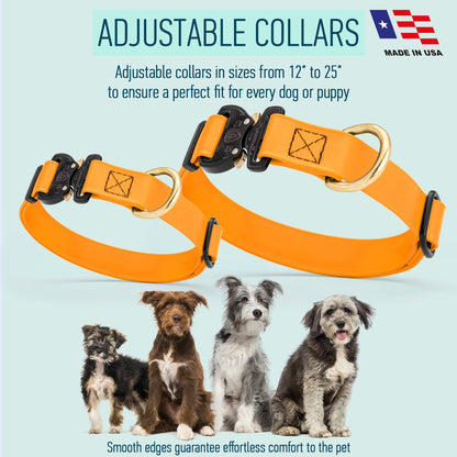 Viper BioThane Dog Collar with Cobra Metal Buckle – Odor Resistant and Waterproof