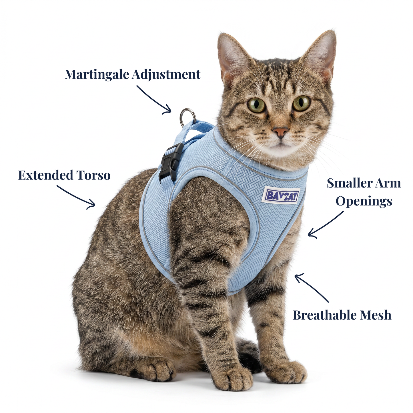 BAYCAT Harness + Leash