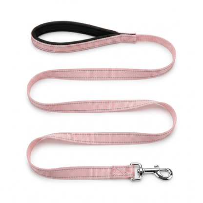 BAYCAT Harness + Leash lifestyle