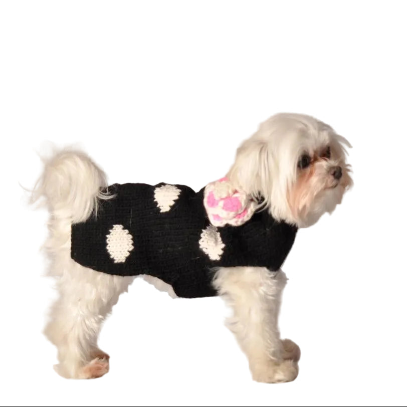 Black Polka Dot Dog Sweater