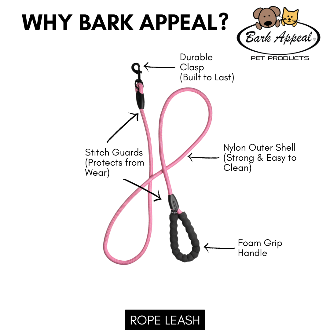 4' Rope Leash
