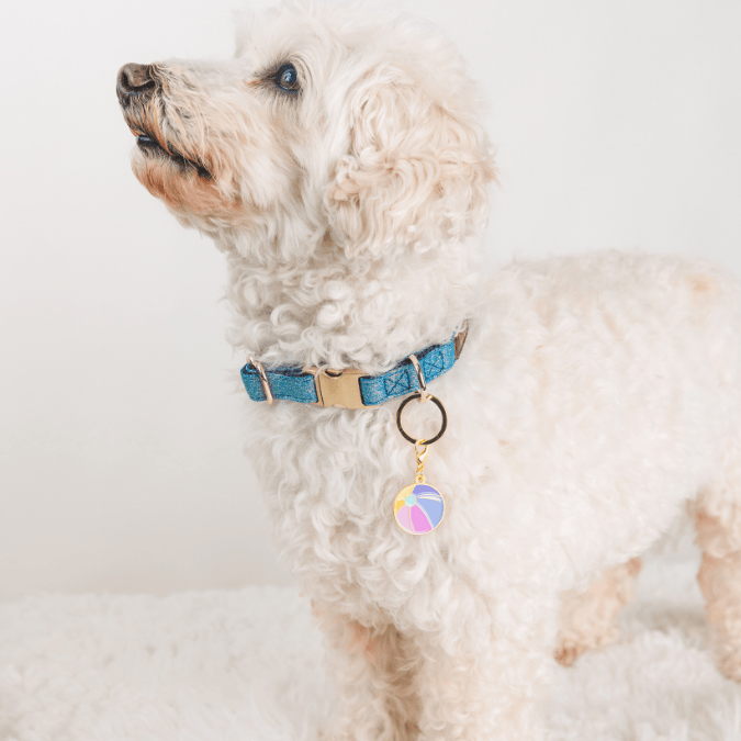 Beach Ball Pet Charm
